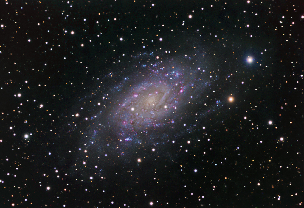 NGC2403LRGBCrop_700.jpg (56450 bytes)