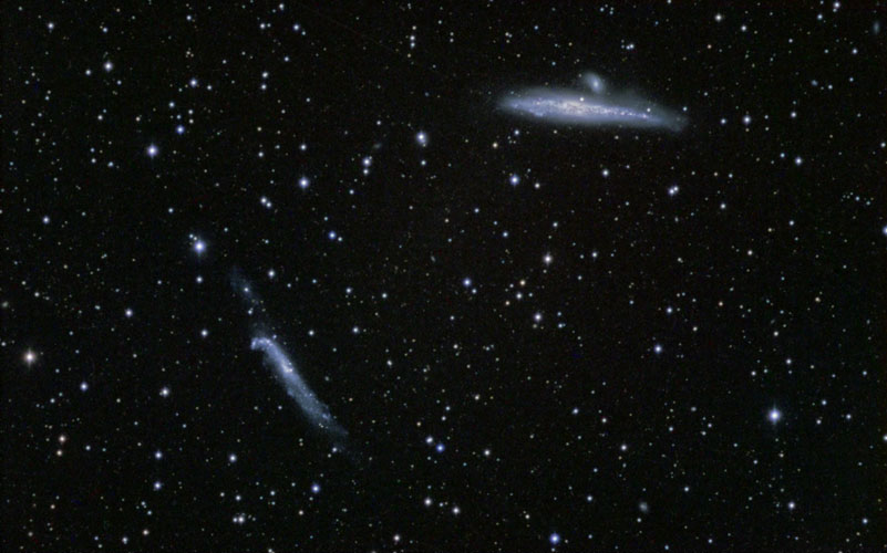 NGC4631-4656LRGB(500).jpg (72903 bytes)
