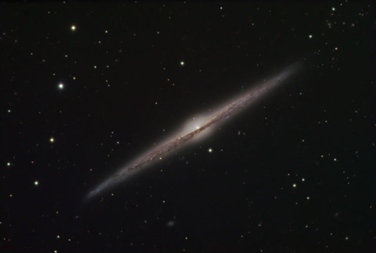 NGC 4565 LRGB (500).jpg (19484 bytes)