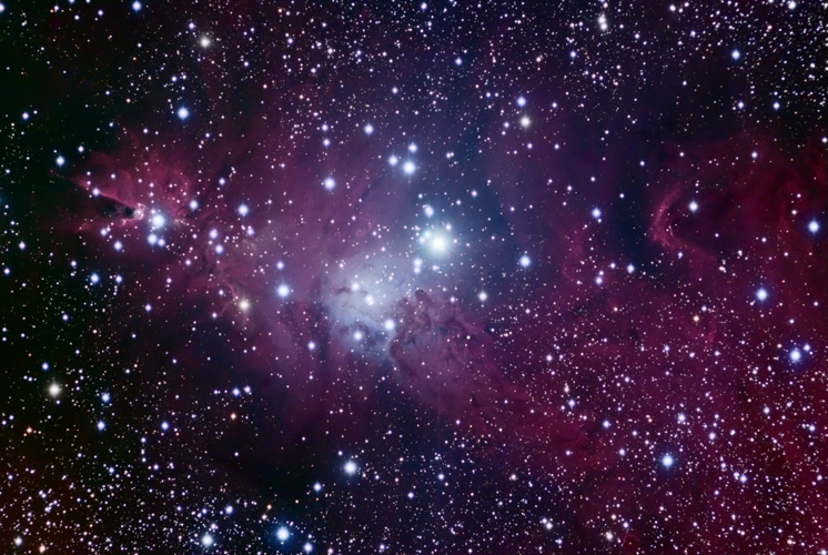 NGC2264LRGB(500).jpg (195601 bytes)